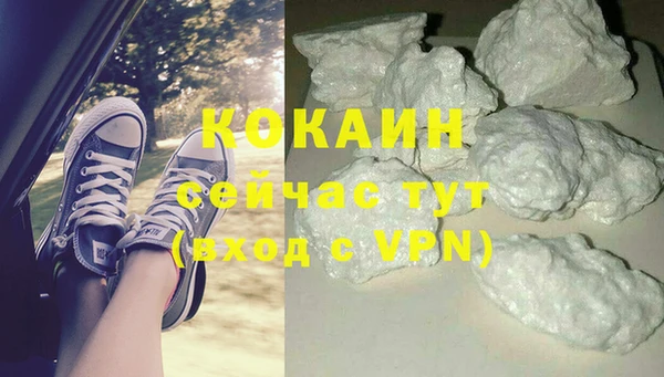 2c-b Дмитриев