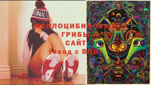 COCAINE Дмитровск