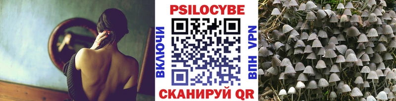 Галлюциногенные грибы прущие грибы  Каргат 